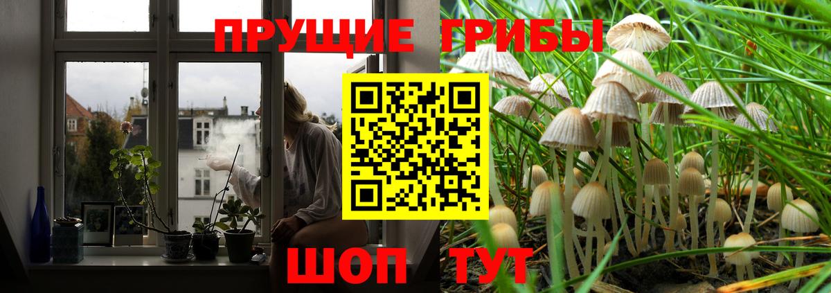 Псилоцибиновые грибы Psilocybe  Вход с VPN  Волгоград 