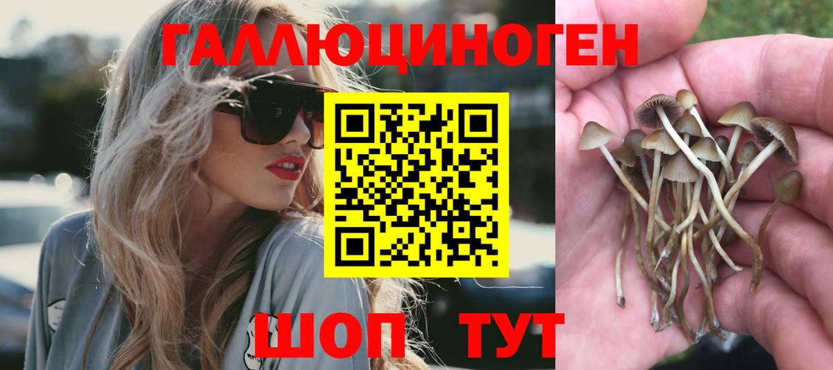 Псилоцибиновые грибы Magic Shrooms Волгоград